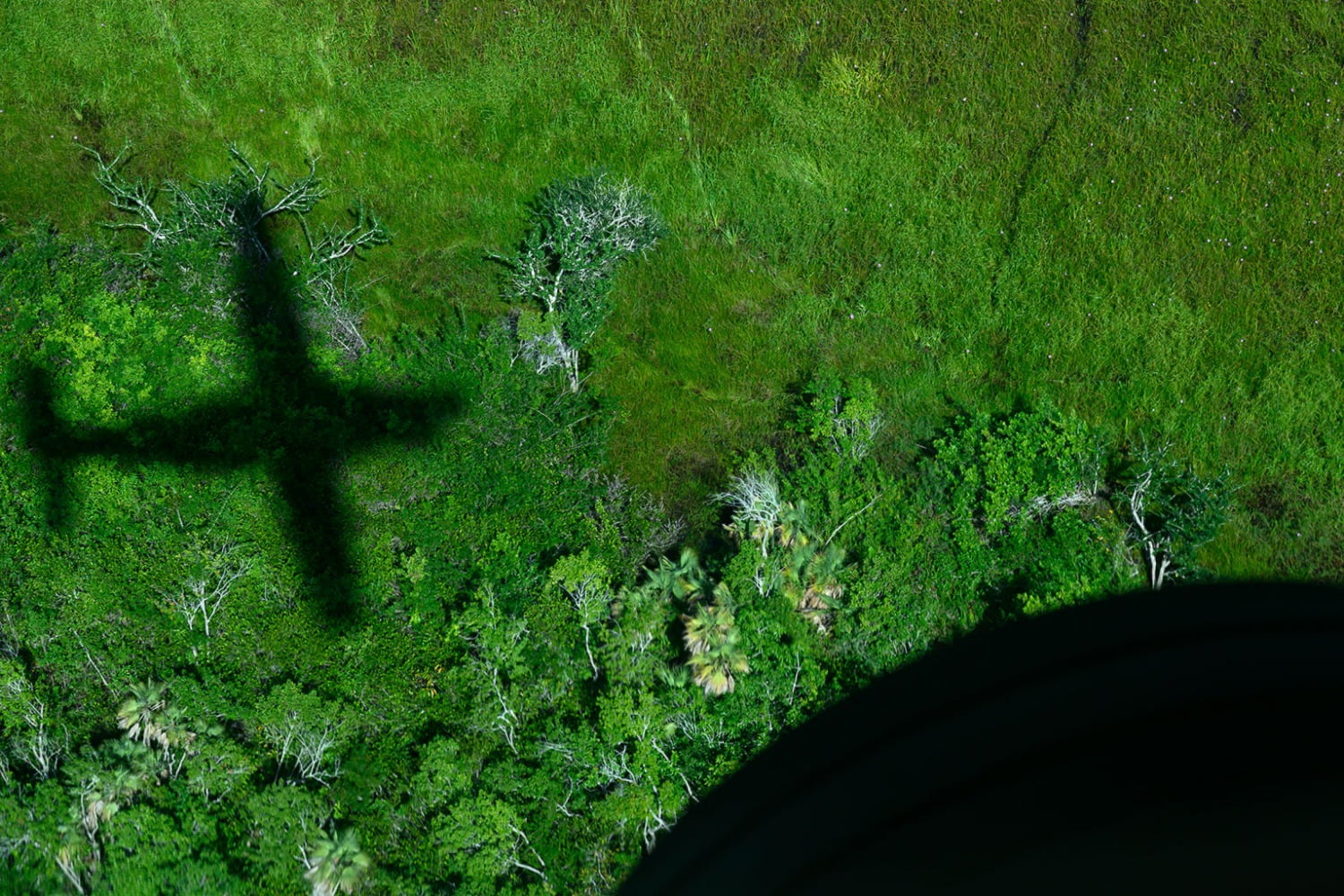 flight over Belize