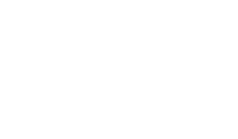 Trip Savvy Logo